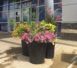 Self Watering Planters